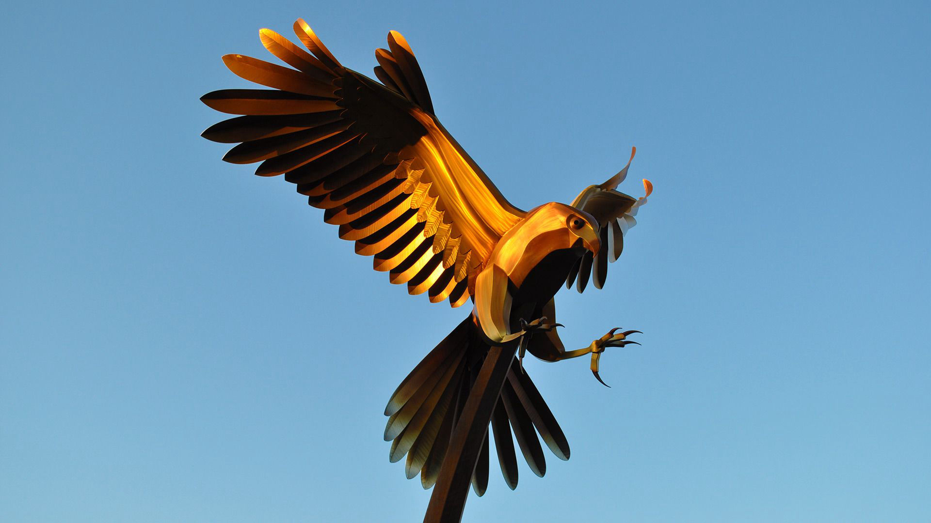 corten and stainless steel public art hawk sculpture by Heath Satow El Paso, TX
