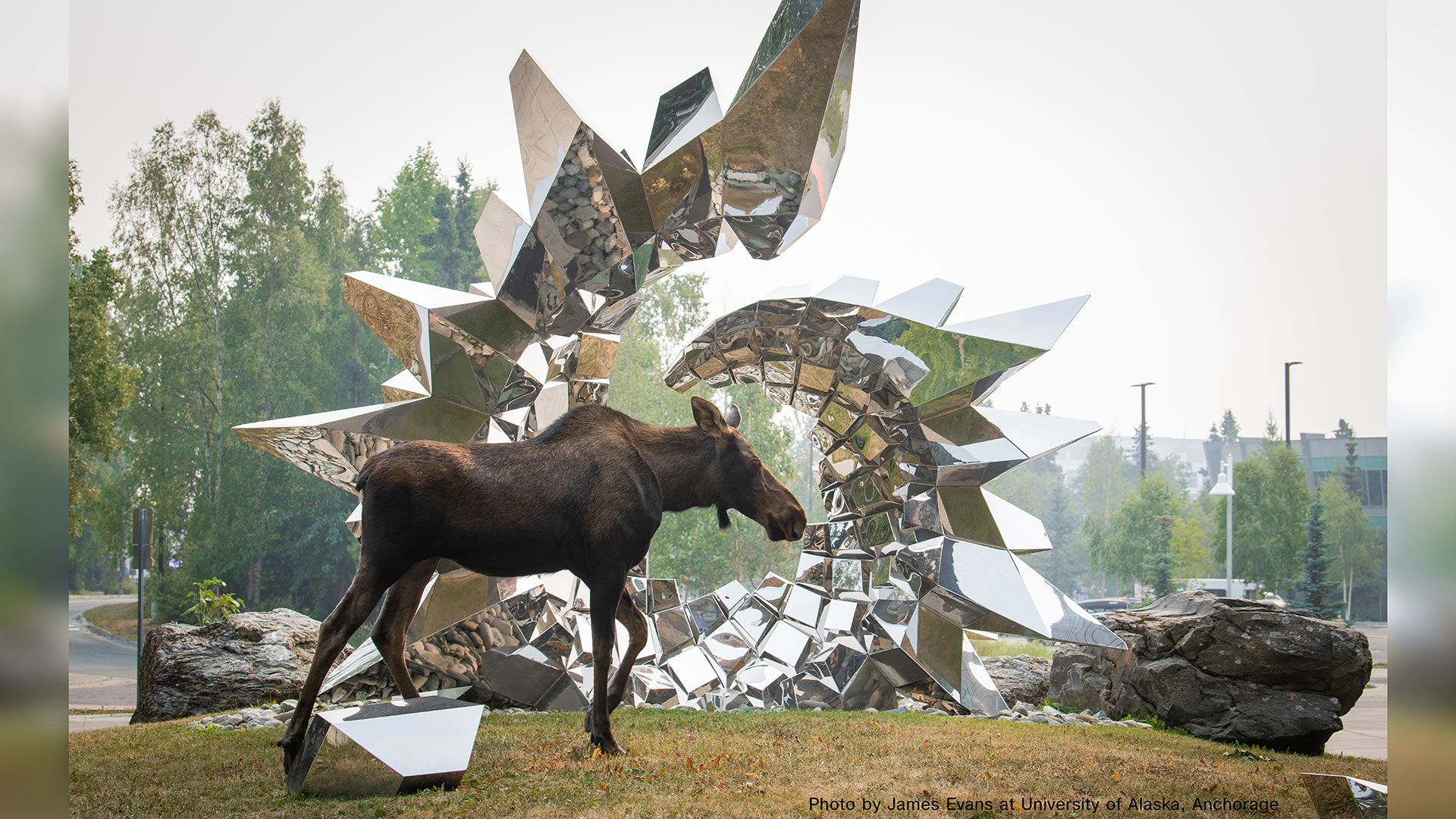 Inflorescence — mirror-polished stainless steel public art sculpture by Heath Satow, Anchorage, AK
